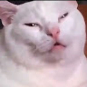 Meet your Posher, Pierrestrongk